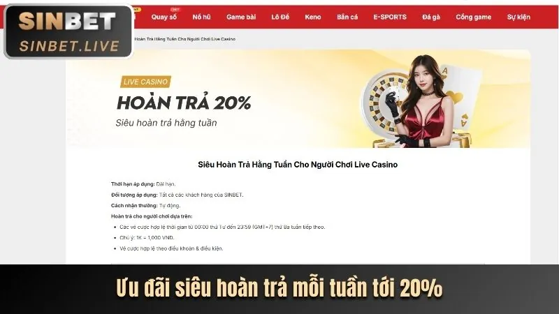 Cá cược tennis tại 8win